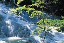 Ocho Rios & Dunn's River Falls